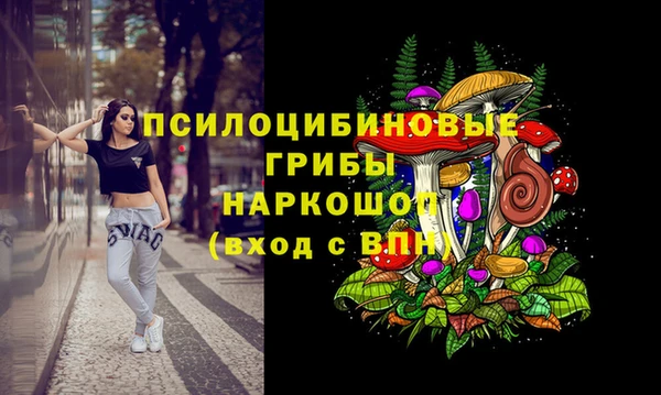 apvp Майский