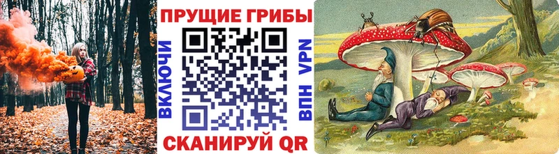 Галлюциногенные грибы MAGIC MUSHROOMS Шарыпово